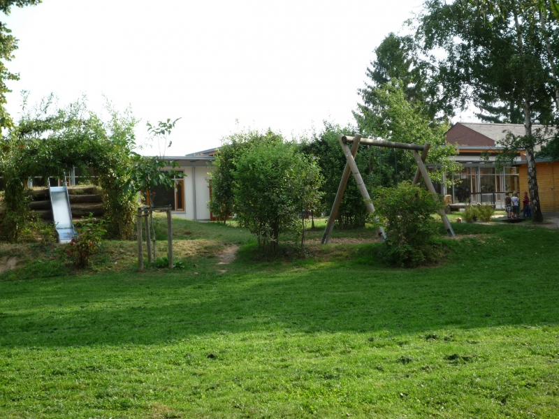 Wiese