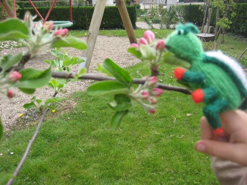 Im GrasHüpfer - Garten ernten wir auch für unser Frühstücksbuffet